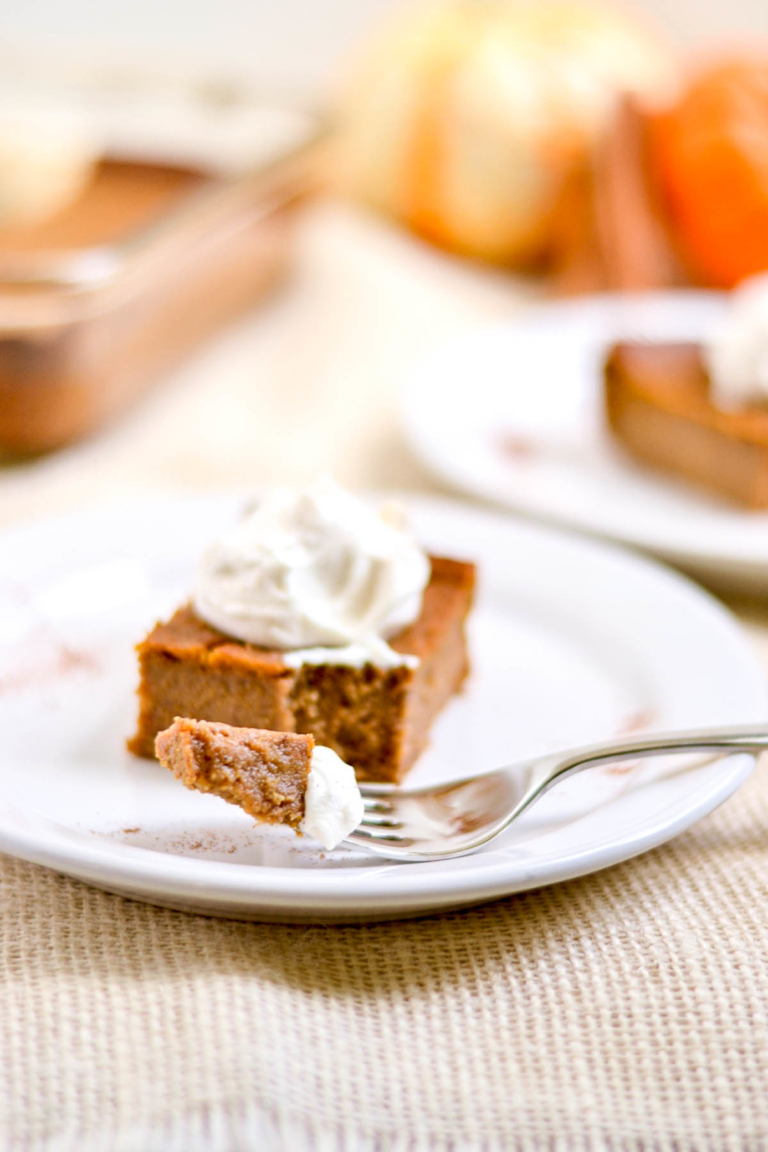 Whole Wheat Crustless Pumpkin Pie Bars(Dairy Free Option) | Food Doodles