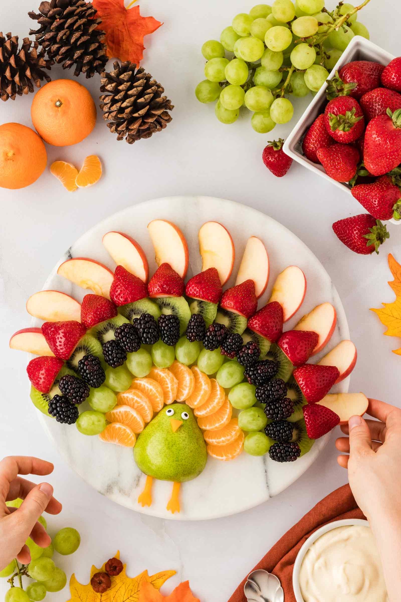 Fruit Turkey (Thanksgiving Fruit Tray) | Easy Wholesome