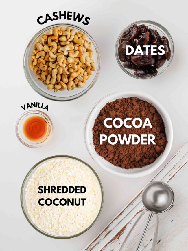 ingredients laid out to make chocolate coconut nut balls