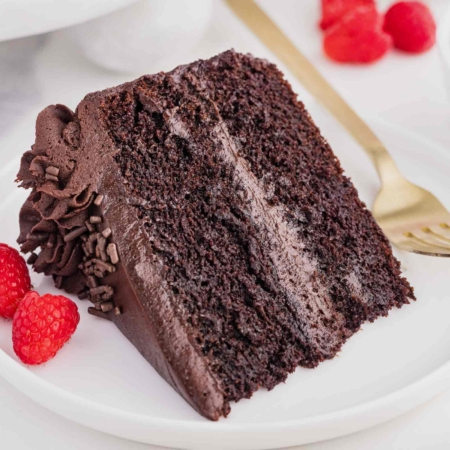 close-up image of dark cocoa cake slice on a white plate with a fork