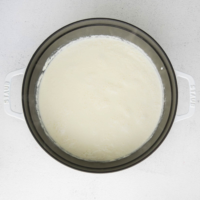 all ricotta cheese ingredients mixed together