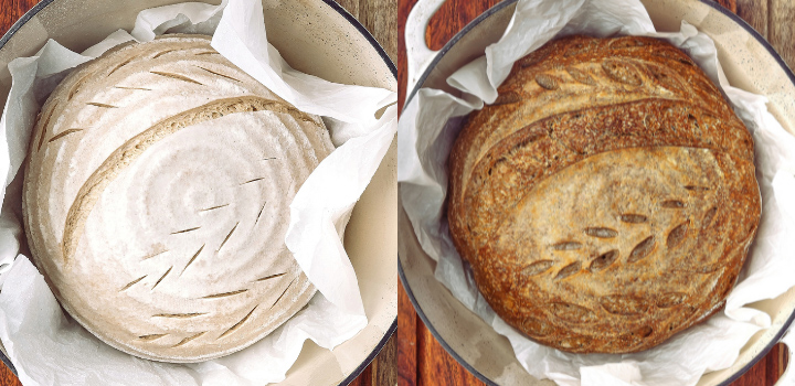 Whole wheat sourdough before baking and after baking in a parchment-lined Dutch oven.