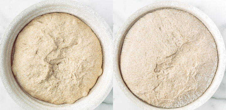 Shaped whole wheat sourdough dough in a banneton and the cold-proofed loaf ready for scoring.